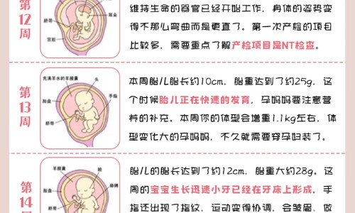 脸上凹陷疤痕可以整平吗什么药好-脸上凹陷疤痕可以整平吗什么药好-脸上皮肤凹陷疤痕图片,中国脸上皮肤凹陷疤痕网站