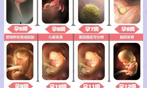 脸上凹陷疤痕可以整平吗什么药好-脸上凹陷疤痕可以整平吗什么药好-脸上皮肤凹陷疤痕图片,中国脸上皮肤凹陷疤痕网站